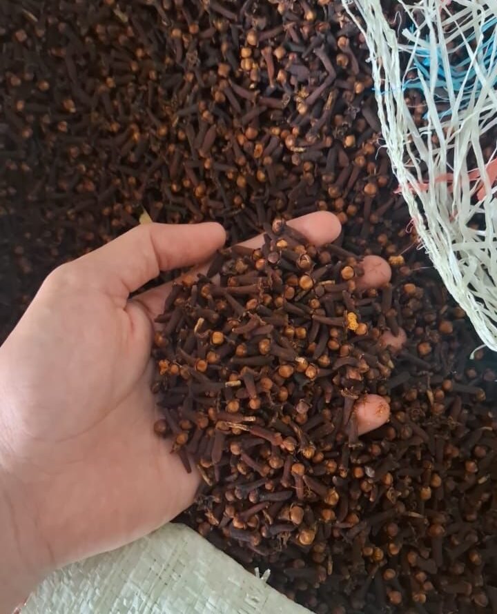 Clove Product